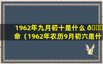 1962年九月初十是什么 💐 命（1962年农历9月初六是什么星座）